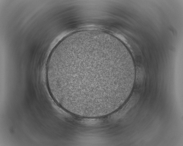 X0000112541474200909281049
