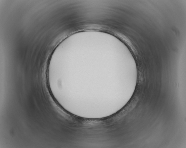 X0000112541475200909281049