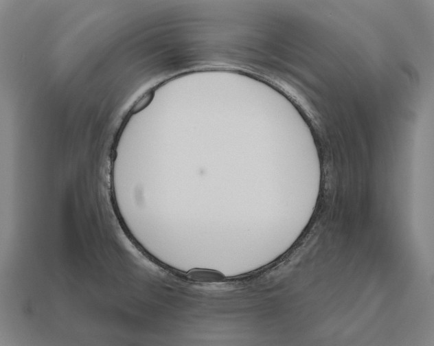 X0000112541476200909281049
