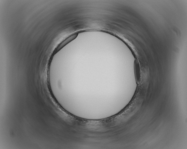 X0000112541477200909281049