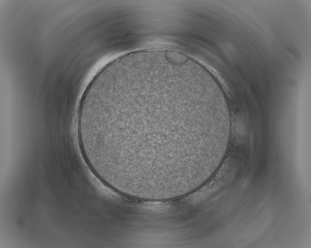 X0000112541478200909281049