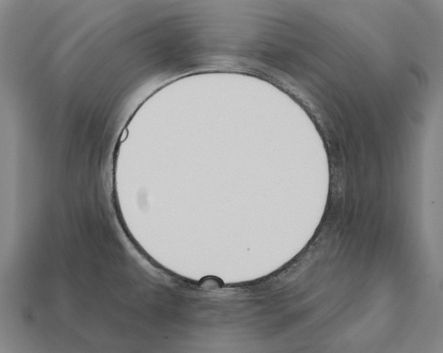 X0000112541479200909281049