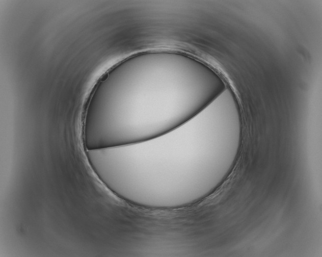 X0000112541480200909281049