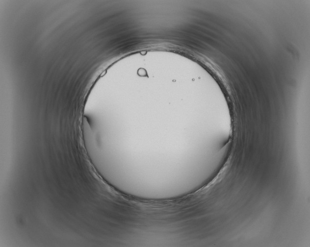 X0000112541481200909281049