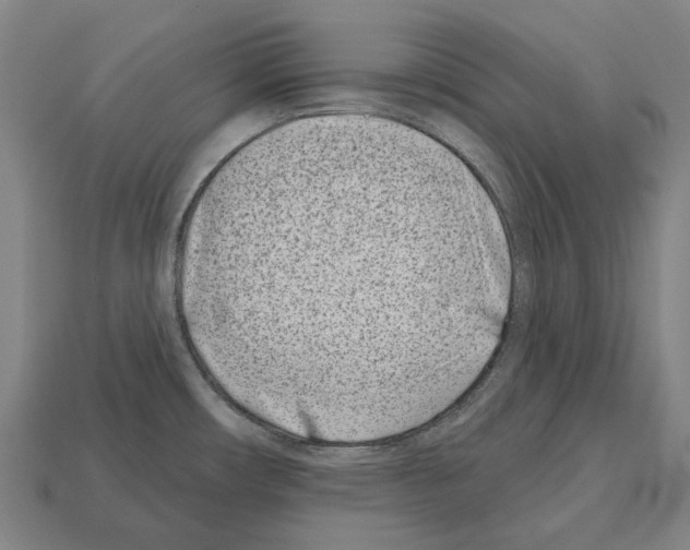 X0000112541482200909281049