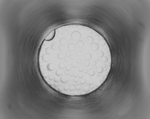 X0000112541483200909281049