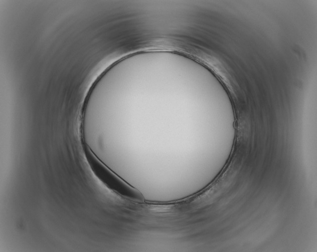 X0000112541484200909281049