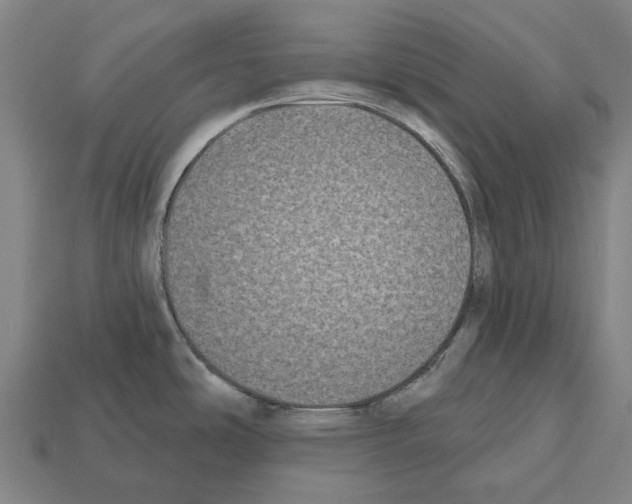 X0000112541486200909281049
