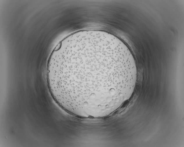 X0000112541487200909281049