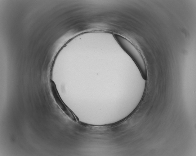 X0000112541488200909281049