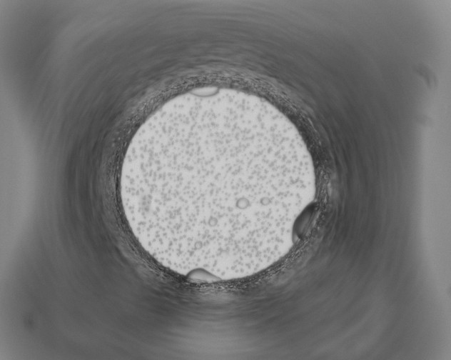 X0000112541489200909281048