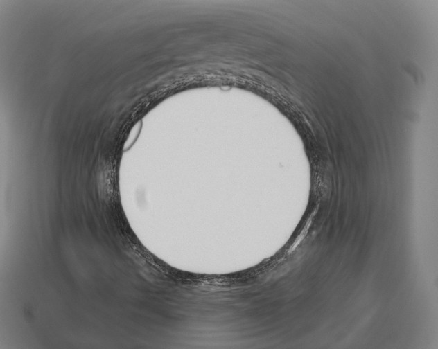 X0000112541490200909281048