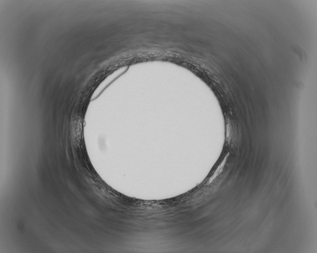 X0000112541492200909281048