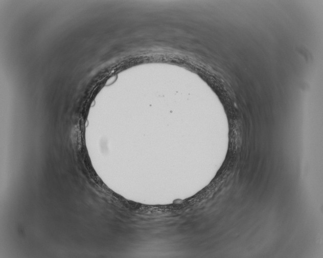 X0000112541493200909281048