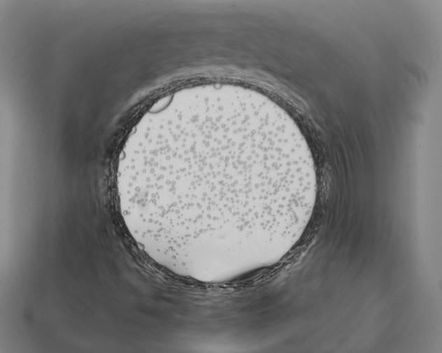 X0000112541494200909281048