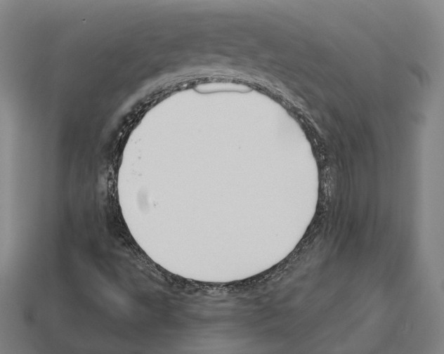 X0000112541495200909281048