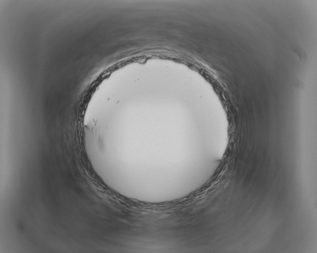 X0000112541496200909281048