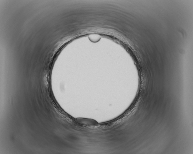 X0000112541497200909281048