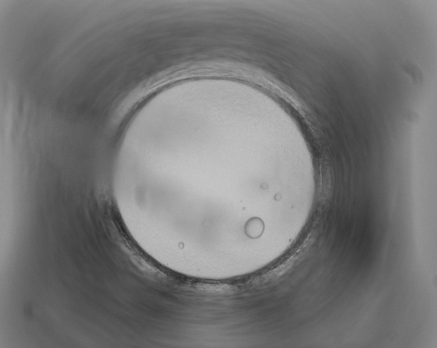 X0000112541498200909281048