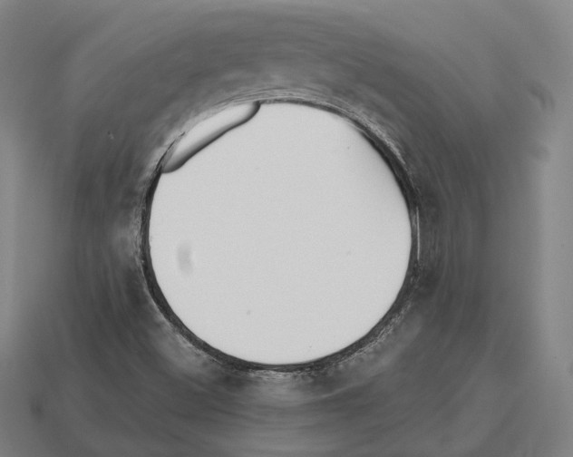 X0000112541500200909281048