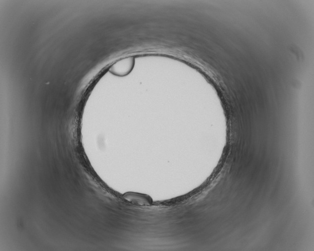 X0000112541502200909281048
