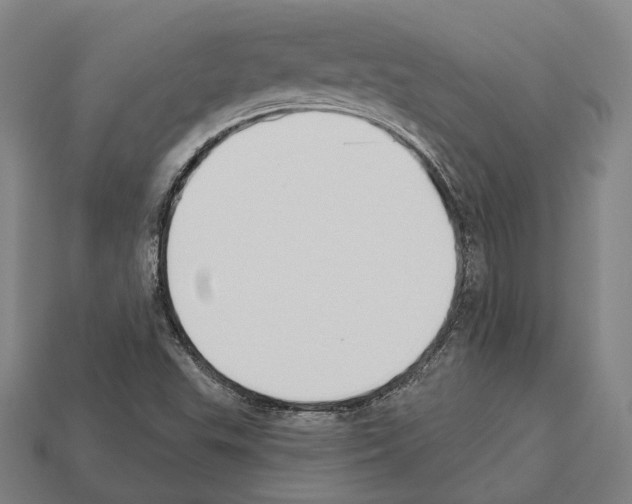 X0000112541503200909281048