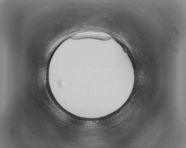 X0000112541504200909281048