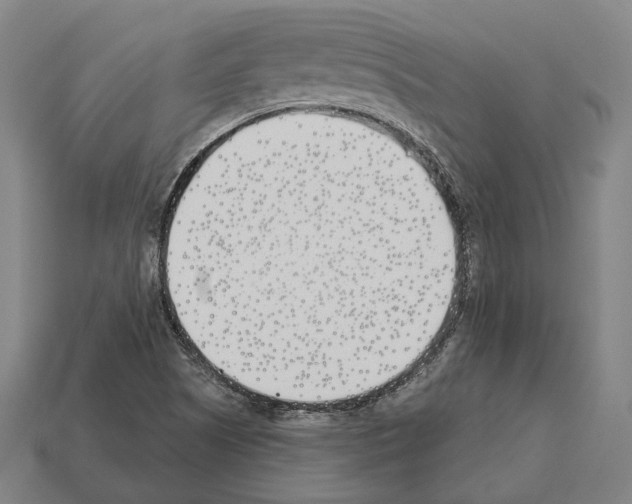 X0000112541505200909281048