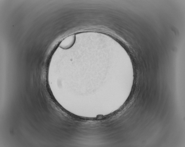 X0000112541506200909281048