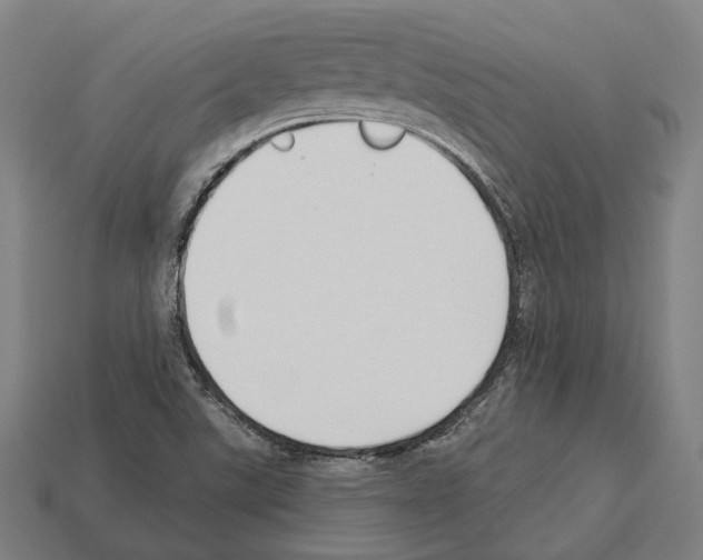 X0000112541507200909281048