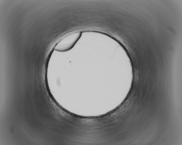X0000112541508200909281048