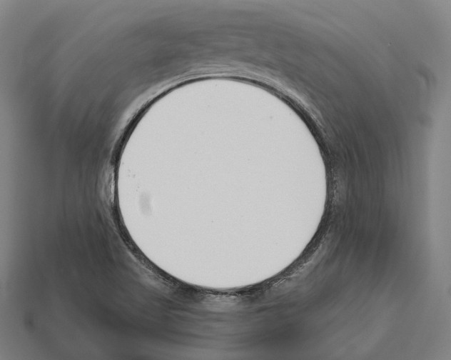 X0000112541509200909281048