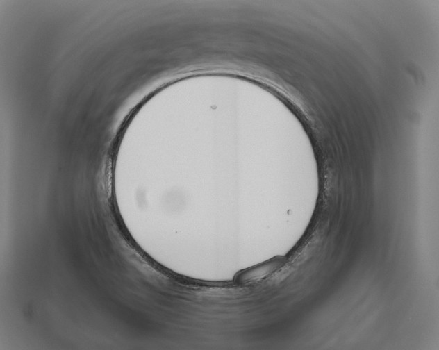 X0000112541510200909281048