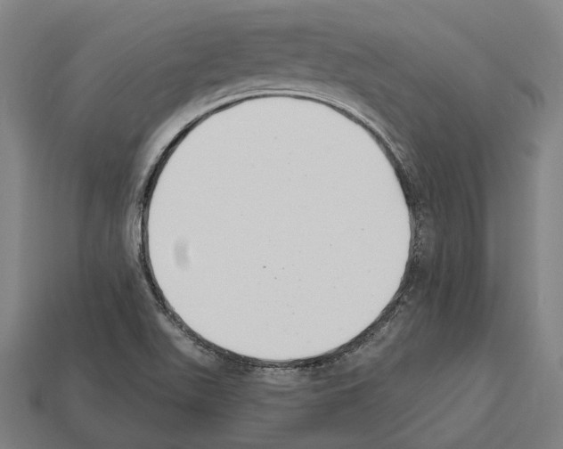 X0000112541511200909281048