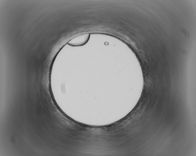 X0000112541512200909281048