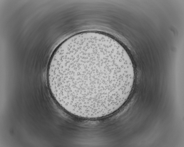X0000112541513200909281048