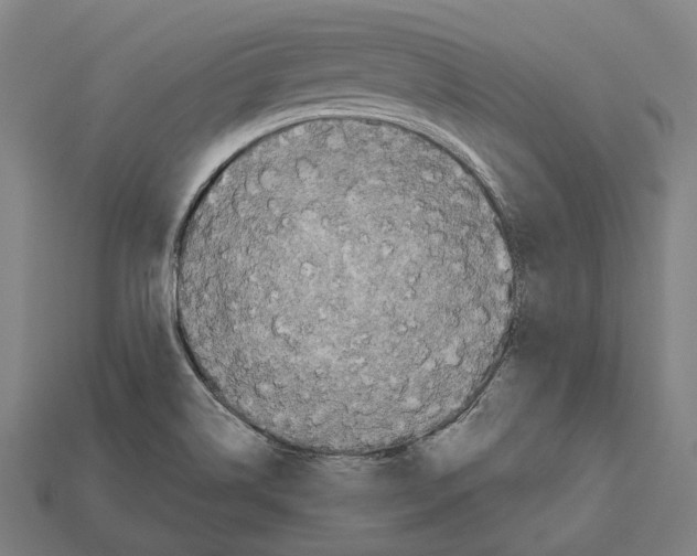 X0000112541514200909281048