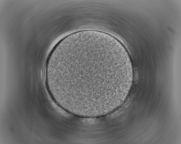 X0000112541515200909281048