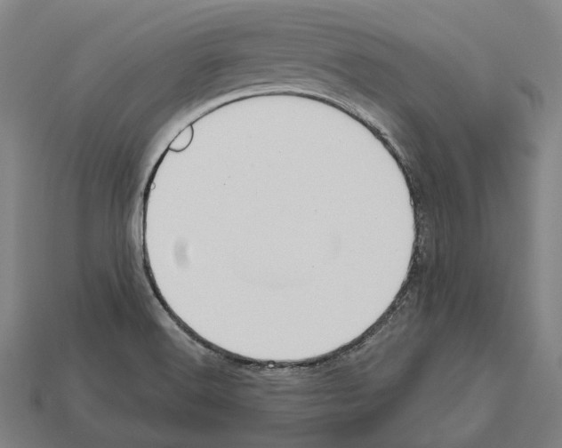 X0000112541516200909281048