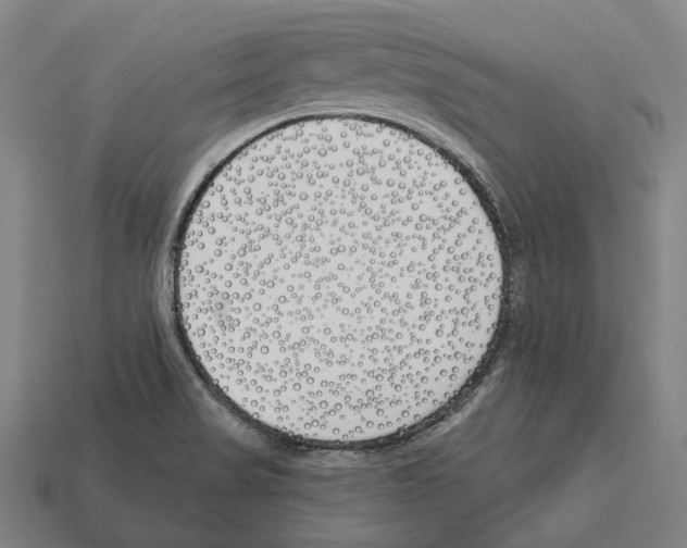 X0000112541517200909281048