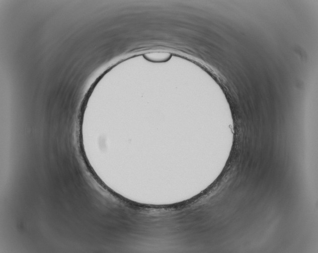X0000112541518200909281048