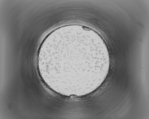 X0000112541519200909281048