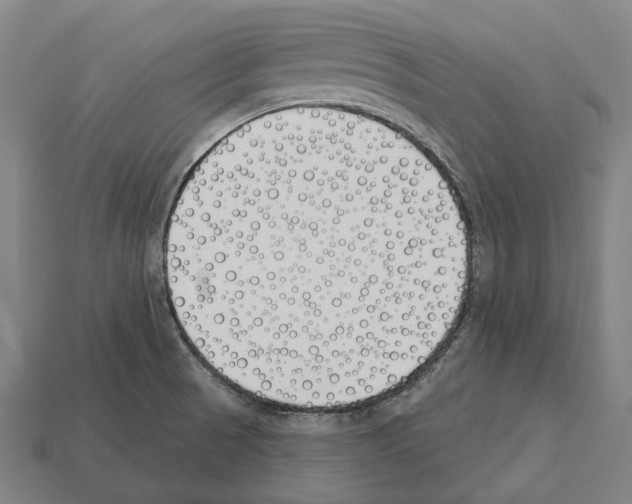 X0000112541521200909281048