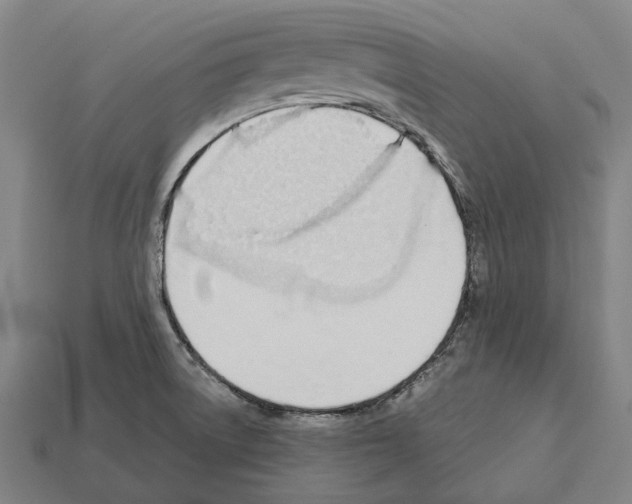 X0000112541522200909281049