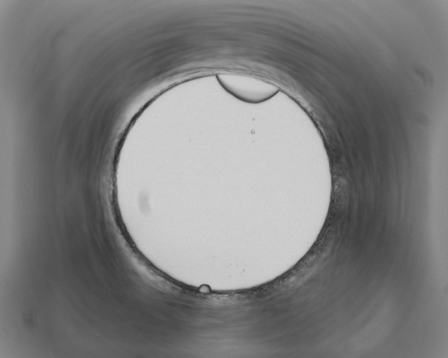 X0000112541523200909281049