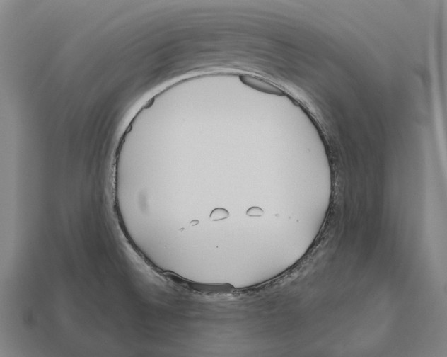 X0000112541524200909281049