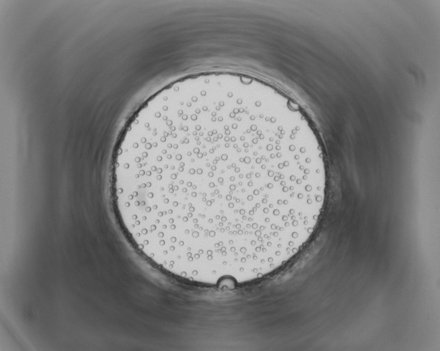 X0000112541525200909281049
