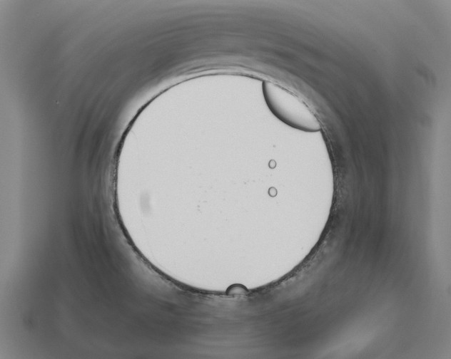 X0000112541526200909281049