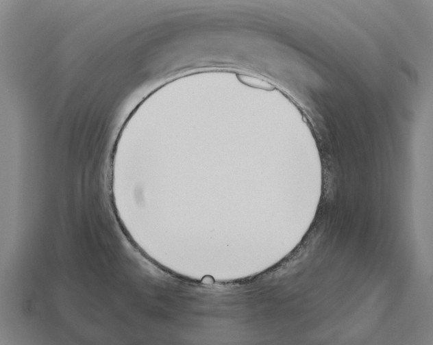 X0000112541527200909281049