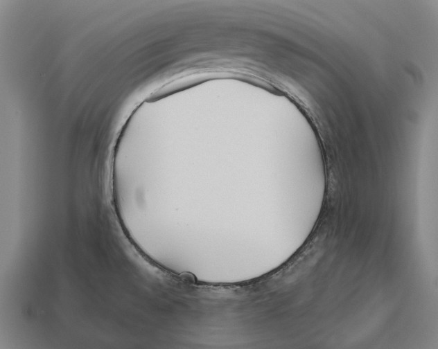 X0000112541528200909281049